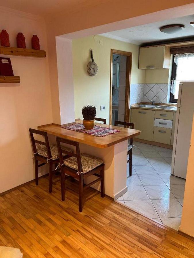 דלניצה Apartment Monte Rosa מראה חיצוני תמונה